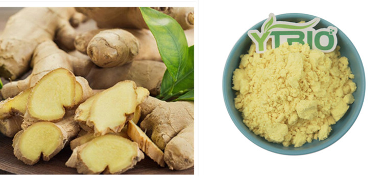 Ginger extract1.jpg
